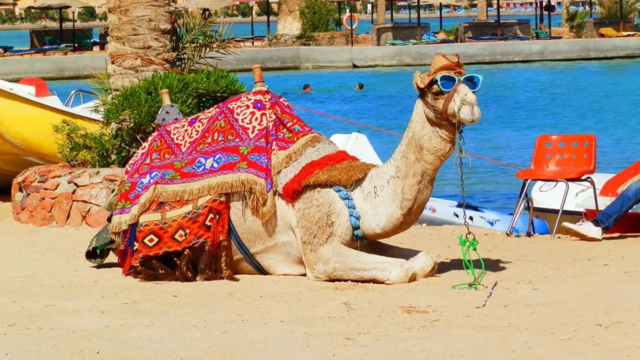 السياحة في الغردقة