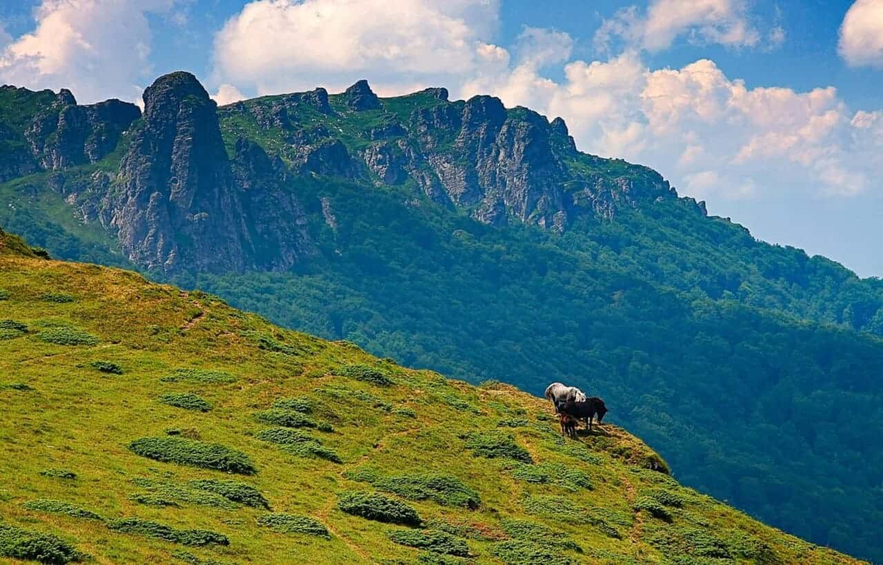 جبل زلاتيبور