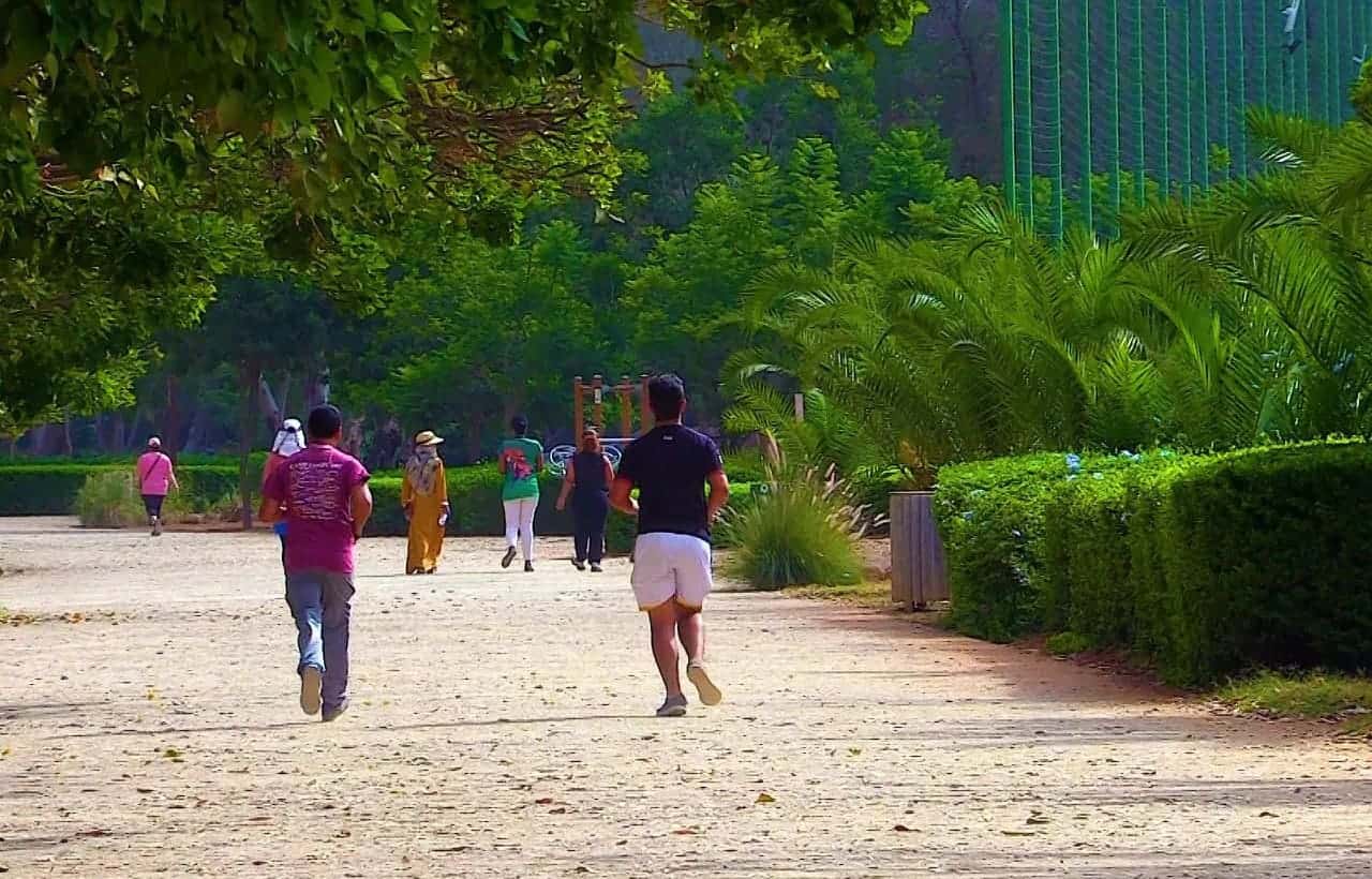 حديقة الأرميتاج