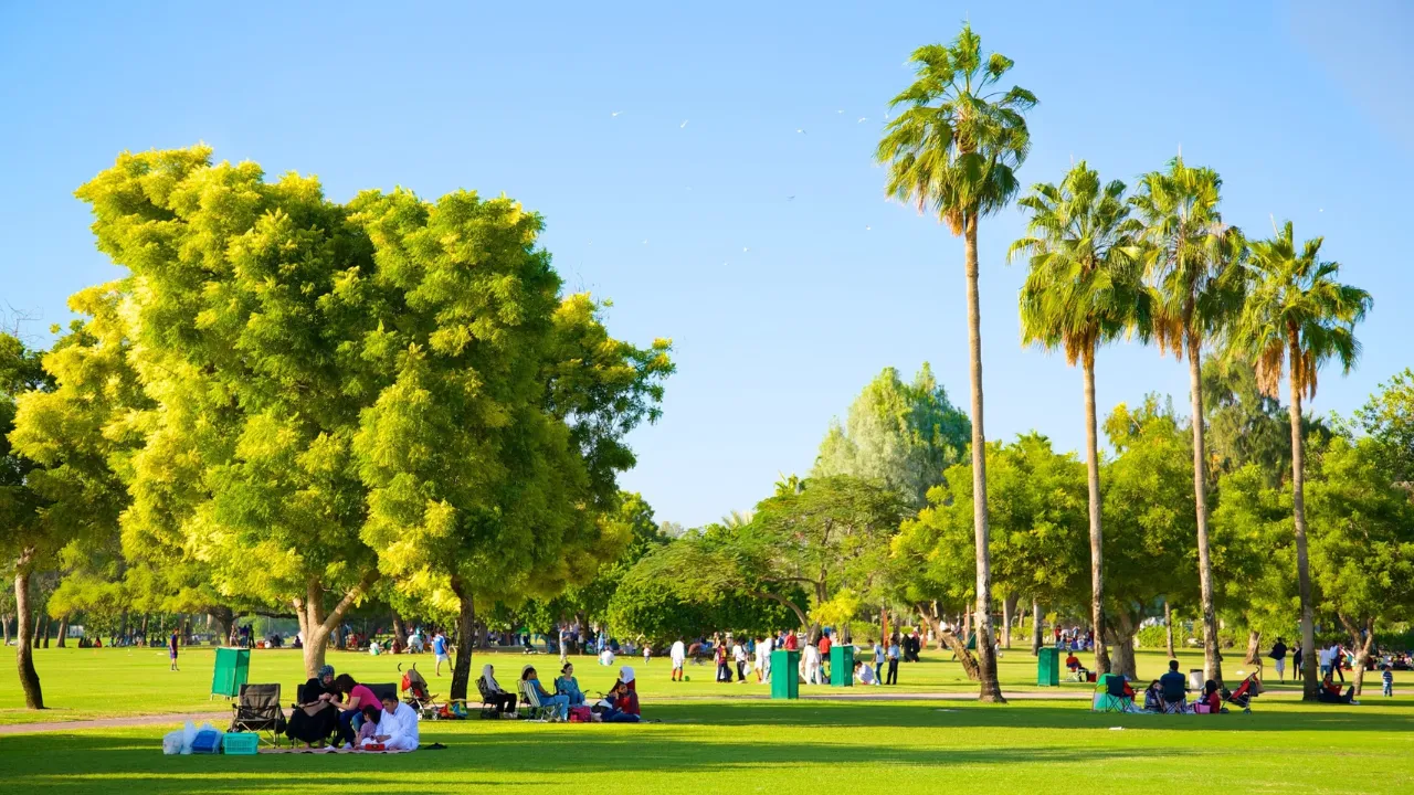 حديقة الراشدية عجمان