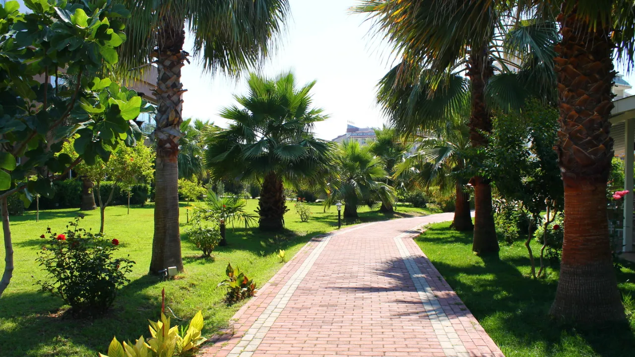 حديقة الطوية بالعين