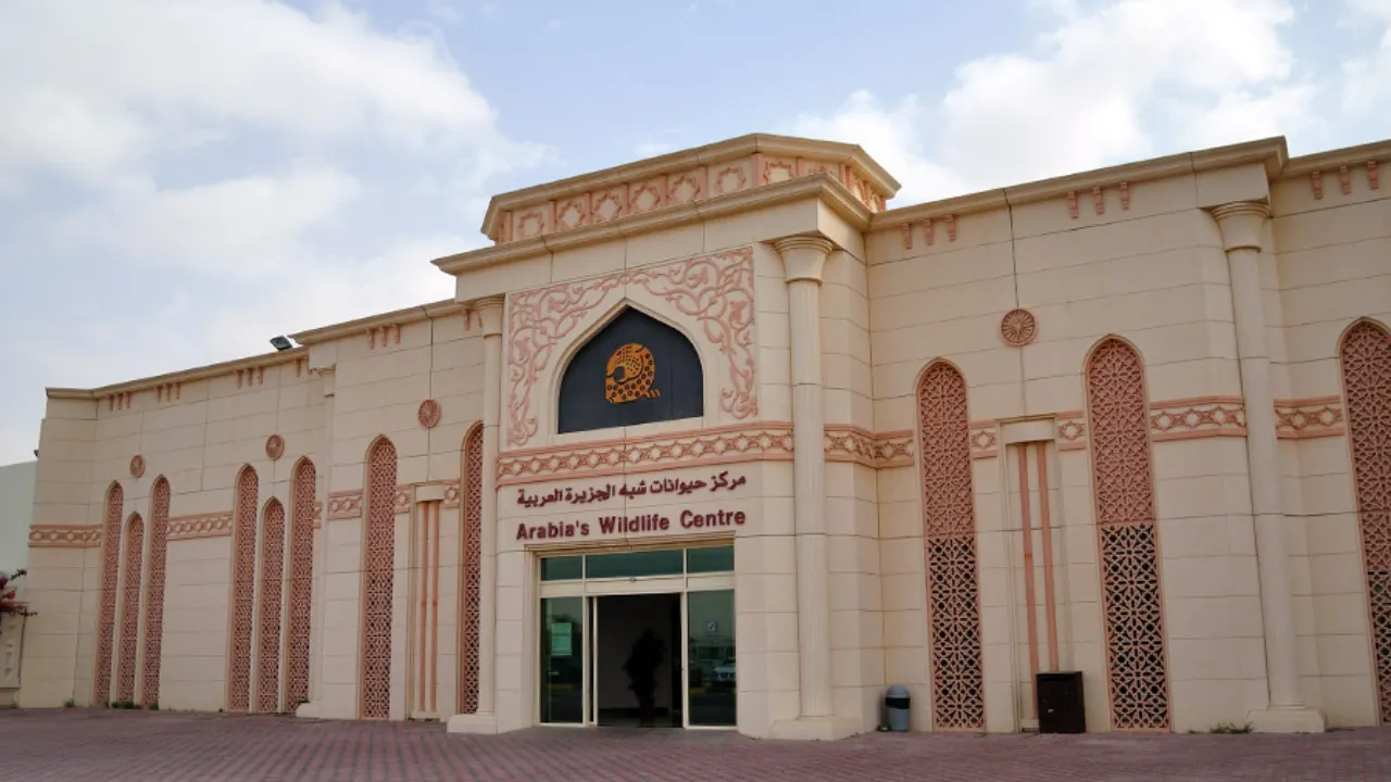مركز حيوانات شبة الجزيرة العربية 