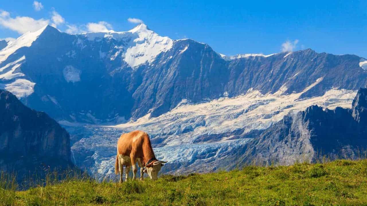 أشهر الوجهات السياحية في سويسرا